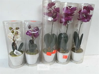 5 x kunstbloem in pot 2 assorti - afbeelding 3 van  3