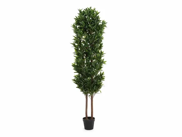 5 x laurierboom - kunstplant - 190 cm - afbeelding 1 van  6
