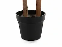 5 x laurierboom - kunstplant - 190 cm - afbeelding 3 van  6