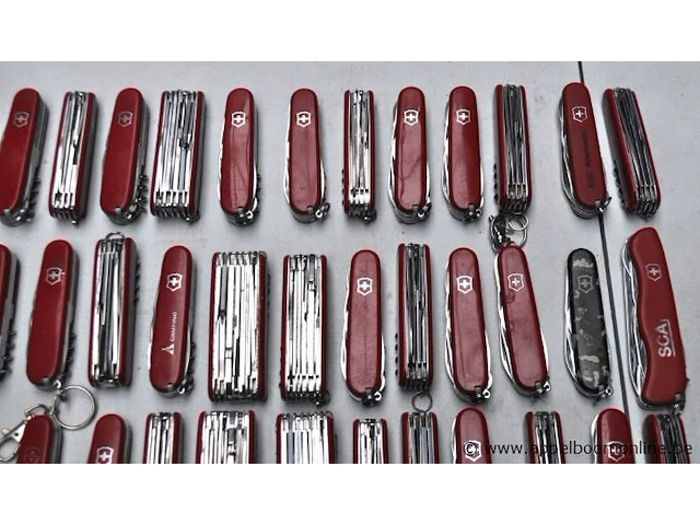 50 div zakmessen victorinox - afbeelding 3 van  5