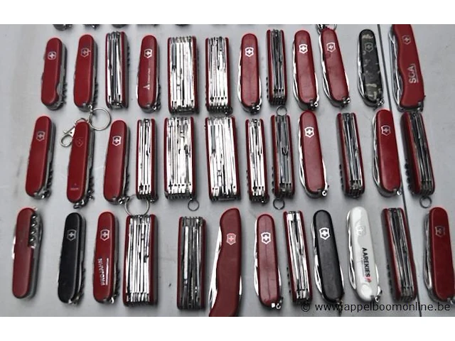 50 div zakmessen victorinox - afbeelding 4 van  5