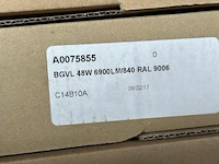50 leds - afbeelding 4 van  5