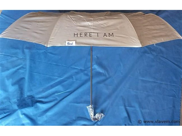 50 stuks paraplu's - afbeelding 1 van  1