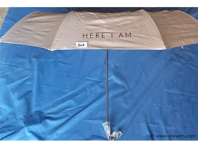 50 stuks paraplu's - afbeelding 1 van  1