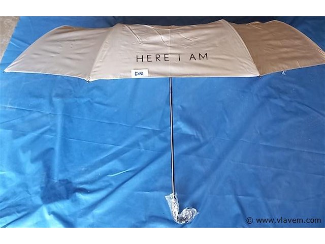 50 stuks paraplu's - afbeelding 1 van  1