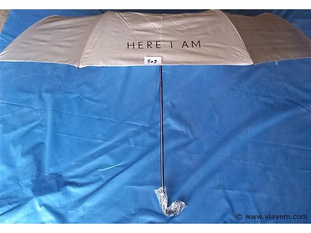 50 stuks paraplu's - afbeelding 1 van  1