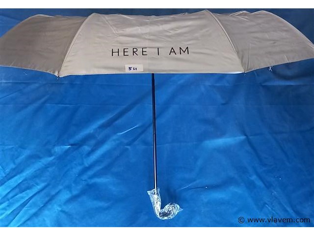 50 stuks paraplu's - afbeelding 1 van  1