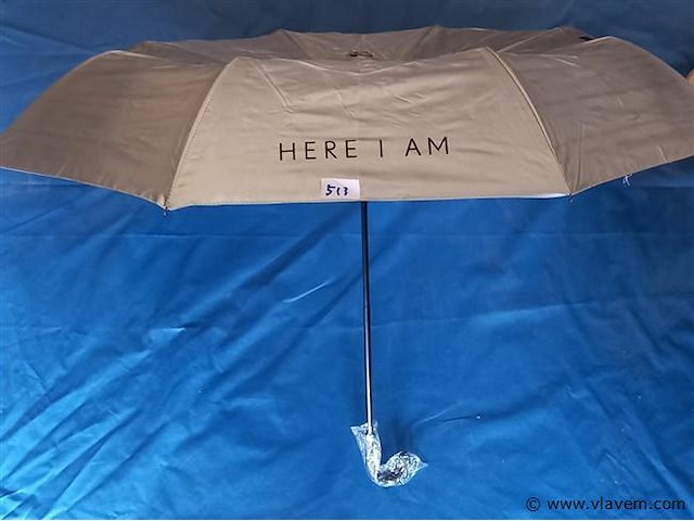 50 stuks paraplu's - afbeelding 1 van  1