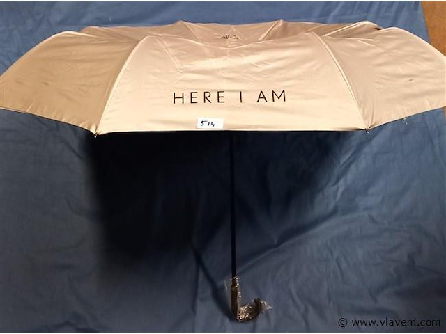 50 stuks paraplu's - afbeelding 1 van  1