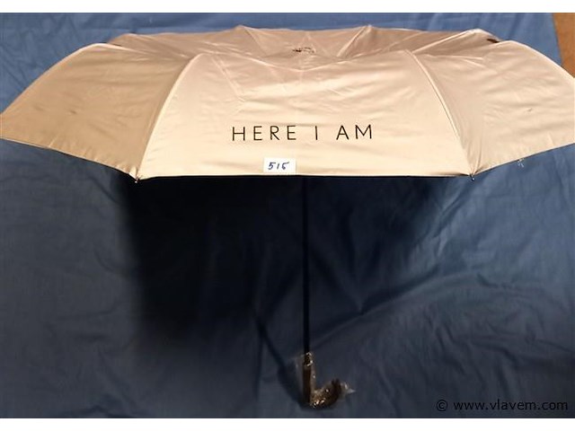 50 stuks paraplu's - afbeelding 1 van  1