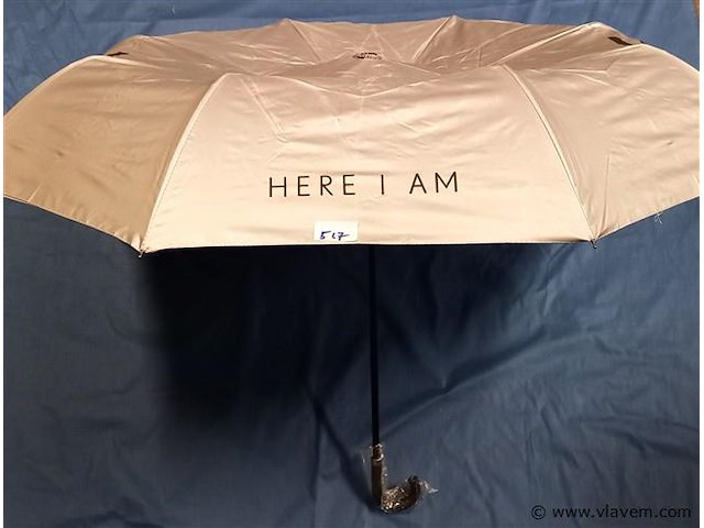 50 stuks paraplu's - afbeelding 1 van  1