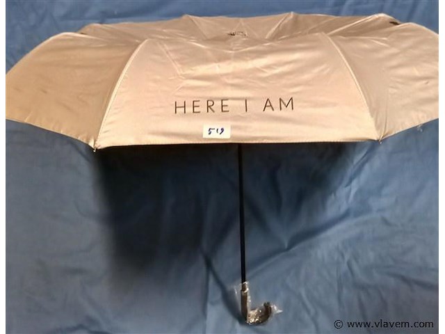 50 stuks paraplu's - afbeelding 1 van  1