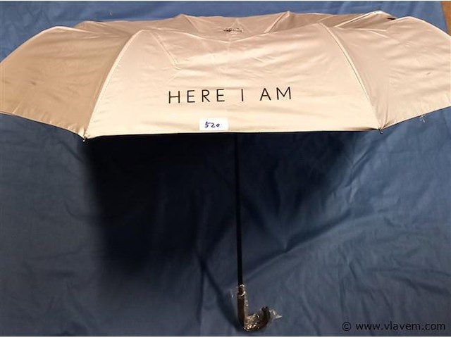 50 stuks paraplu's - afbeelding 1 van  1