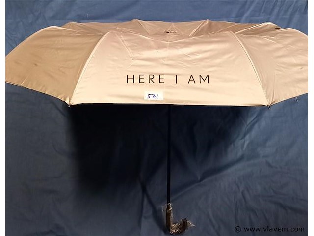 50 stuks paraplu's - afbeelding 1 van  1