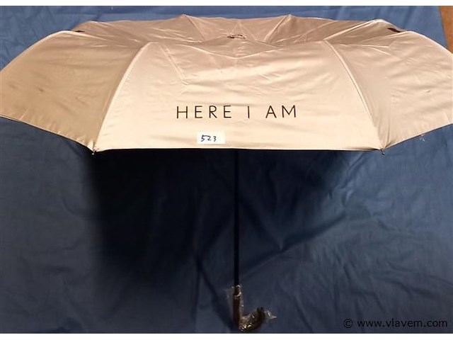 50 stuks paraplu's - afbeelding 1 van  1