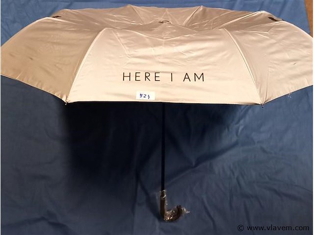 50 stuks paraplu's - afbeelding 1 van  1