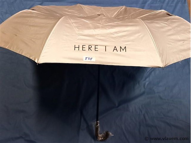 50 stuks paraplu's - afbeelding 1 van  1