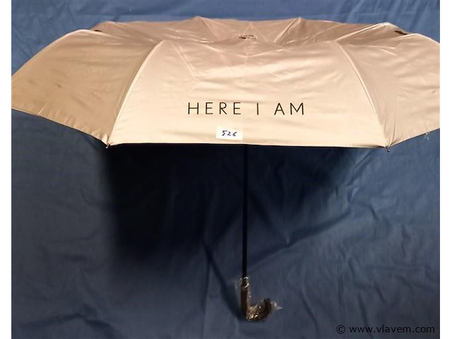 50 stuks paraplu's - afbeelding 1 van  1