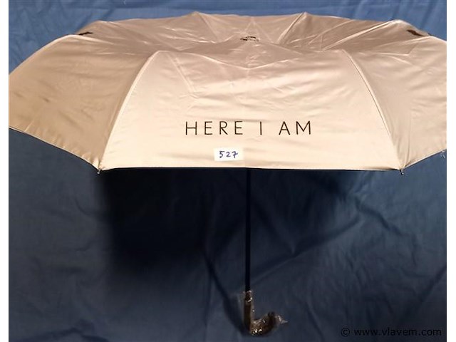 50 stuks paraplu's - afbeelding 1 van  1