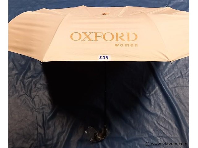 50 stuks paraplu's - afbeelding 1 van  1