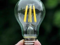 50 x filament lamp a60 – 6w – e27 – dimbaar – 2700k – 500 lm – ip20 – binnen - afbeelding 4 van  4