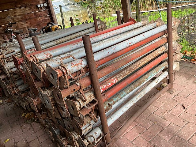 50 x schoren - afbeelding 3 van  4