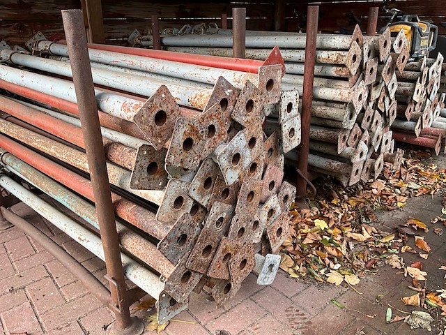 50 x schoren - afbeelding 2 van  4