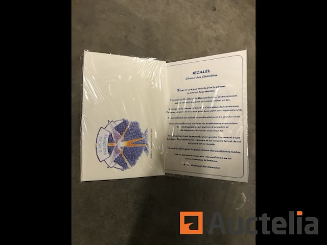 500 beschermengel kaarten - afbeelding 2 van  5