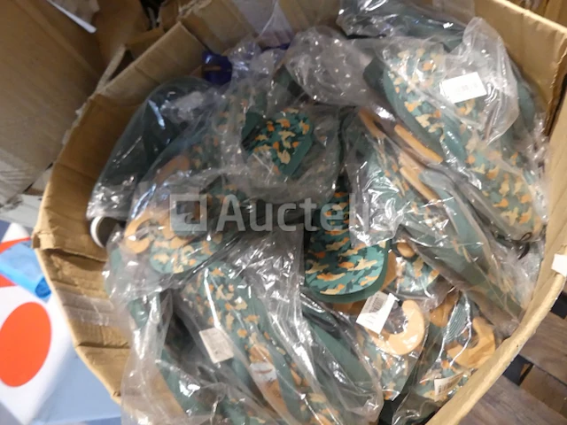 500 zomerschoenen, diverse stranden - afbeelding 5 van  6