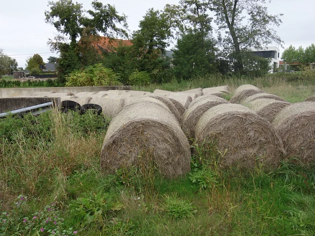 52x hooibaal - afbeelding 3 van  3