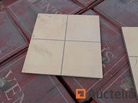 55 m2 beige venis gres tegels van elite ciubadela barro - afbeelding 2 van  4