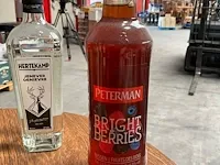 56 flessen diverse jenever - afbeelding 10 van  11
