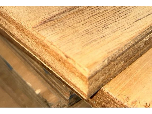 56 multiflexplaten - afbeelding 3 van  3