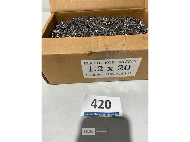 5k nagels met platte kop 1,2x20mm - afbeelding 1 van  3