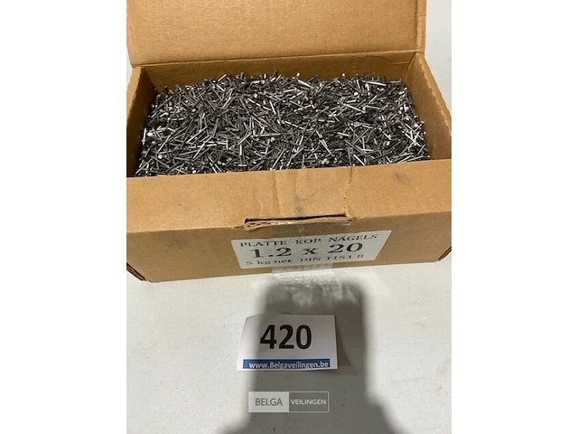 5k nagels met platte kop 1,2x20mm - afbeelding 3 van  3