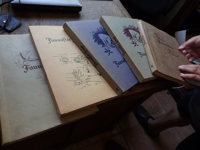 5x fleur en fauna cote d'or - afbeelding 1 van  2