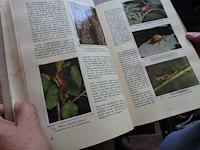 5x fleur en fauna cote d'or - afbeelding 2 van  2