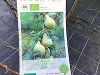 6 appelstammen in soorten, 6 perenstammen, 6 kersenstammen, 6 pruimenstammen - afbeelding 4 van  13