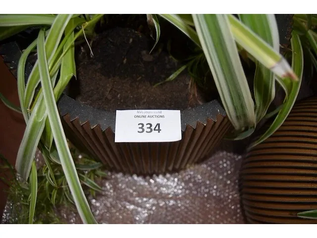 6 bloempotten diverse afmetingen met planten - afbeelding 2 van  6