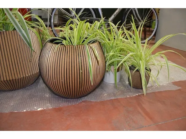 6 bloempotten diverse afmetingen met planten - afbeelding 6 van  6