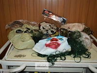 6 diverse halloween maskers - afbeelding 1 van  6