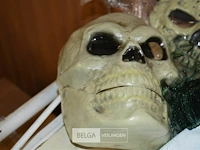 6 diverse halloween maskers - afbeelding 2 van  6