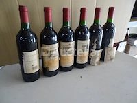 6 flessen 1ere côtes de blaye château perinot 1995 - afbeelding 4 van  4