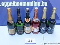 6 flessen alcohol wo champagne - afbeelding 1 van  3