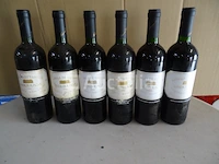 6 flessen bodega de familia undurraga talagante 1996 - afbeelding 1 van  4