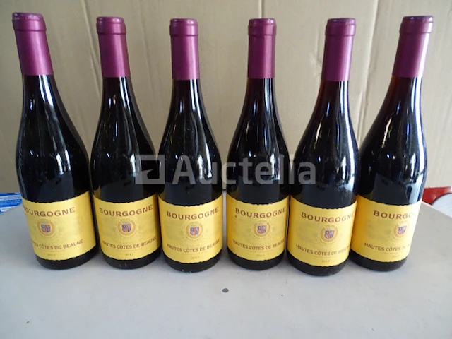 6 flessen bourgogne hautes côtes de beaune 2013 - afbeelding 1 van  4