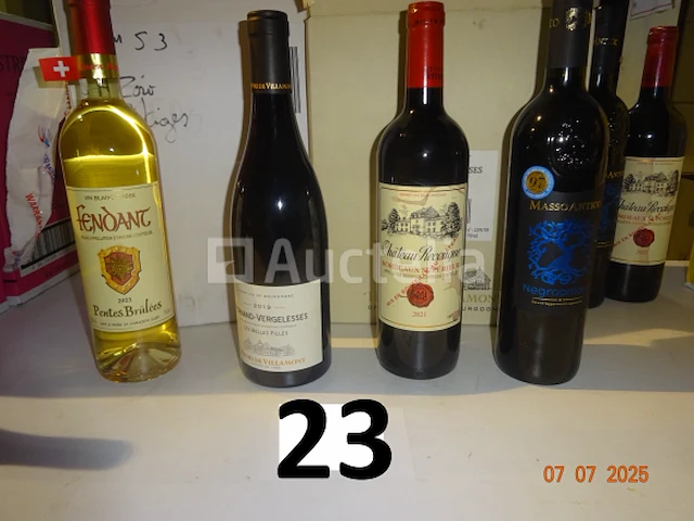 6 flessen fendang witte wijn 2023, 6 flessen fernand vergelesses rode wijn, 3 flessen massoantico rode wijn, 3 flessen château recugne rode wijn - afbeelding 1 van  2