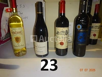 6 flessen fendang witte wijn 2023, 6 flessen fernand vergelesses rode wijn, 3 flessen massoantico rode wijn, 3 flessen château recugne rode wijn - afbeelding 1 van  2