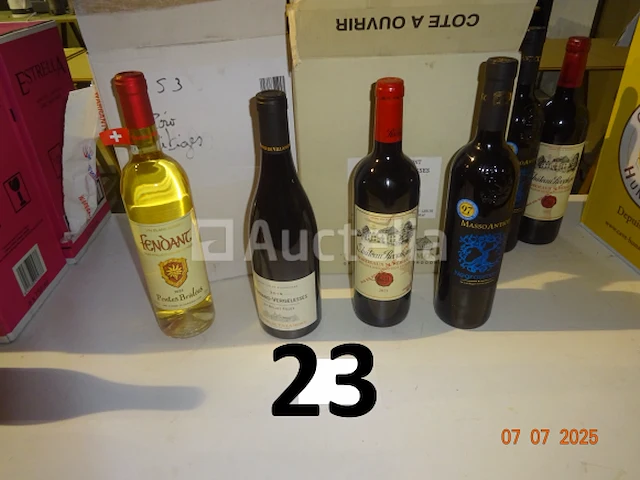 6 flessen fendang witte wijn 2023, 6 flessen fernand vergelesses rode wijn, 3 flessen massoantico rode wijn, 3 flessen château recugne rode wijn - afbeelding 2 van  2