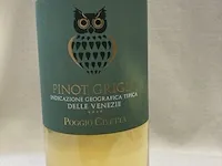 6 flessen pinot grigio indicazione geografica tipica delle venezie - afbeelding 2 van  4